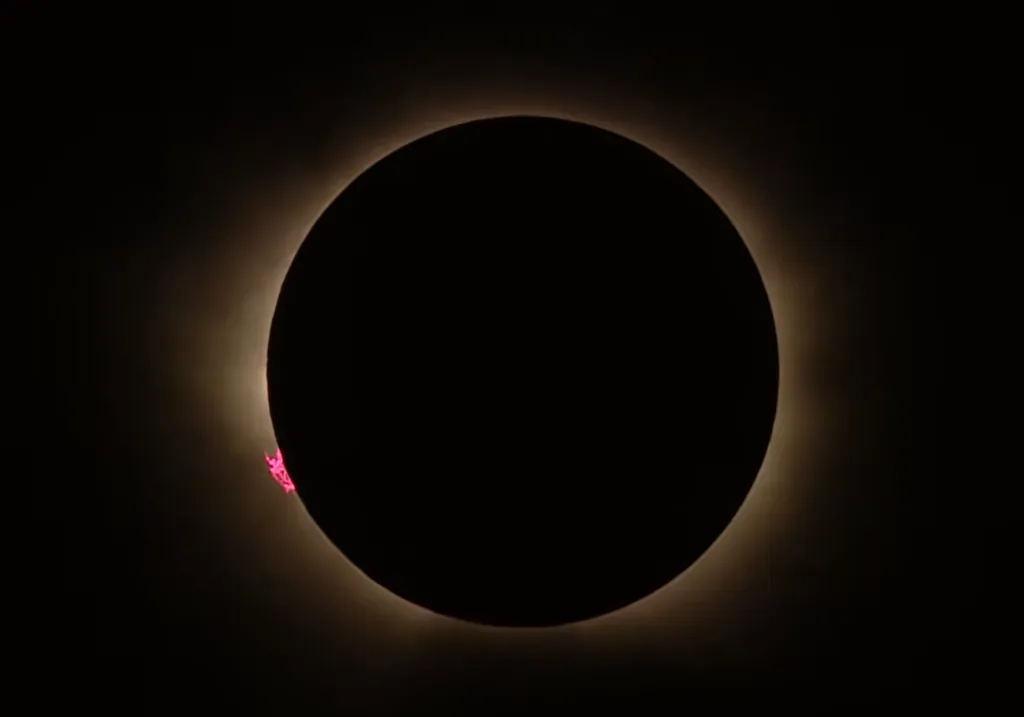 32291061