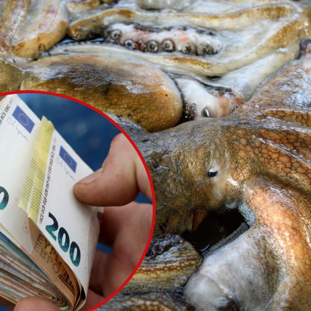 <p>Hobotnica je Splićanina do&scaron;la po zlato</p>