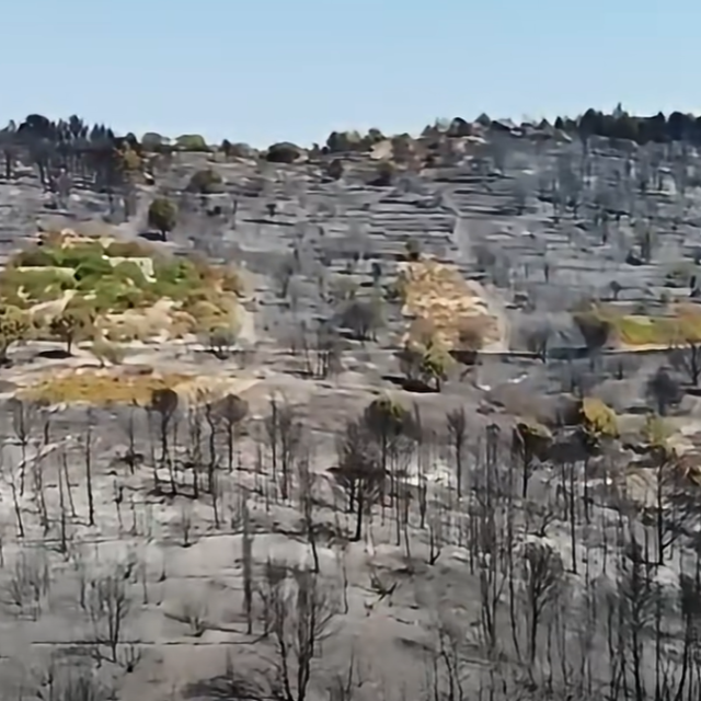 <p>Pogled na požari&scaron;te u Kuni Pelje&scaron;koj iz zraka</p>