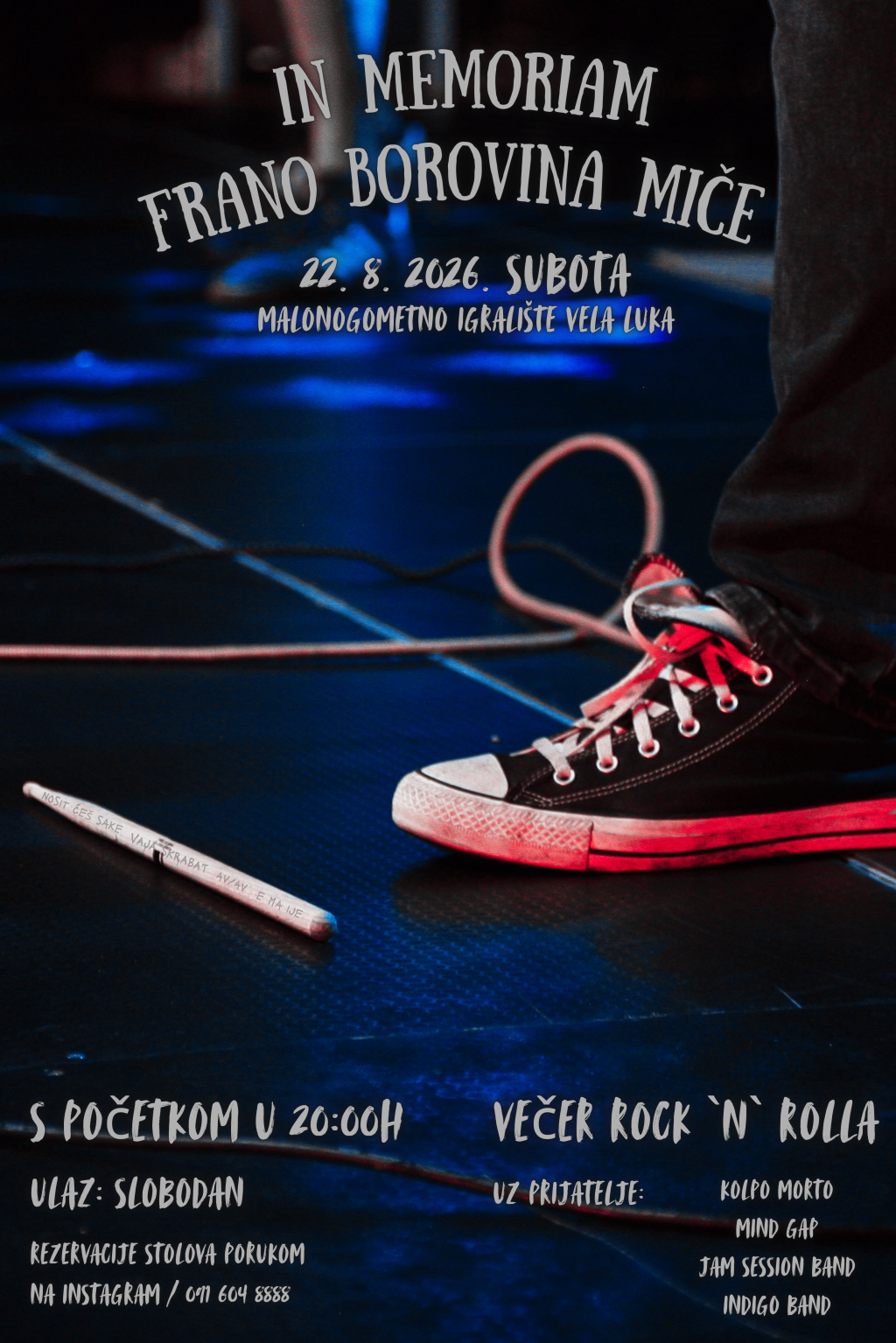 <p>Koncert za Franu Borovinu</p>