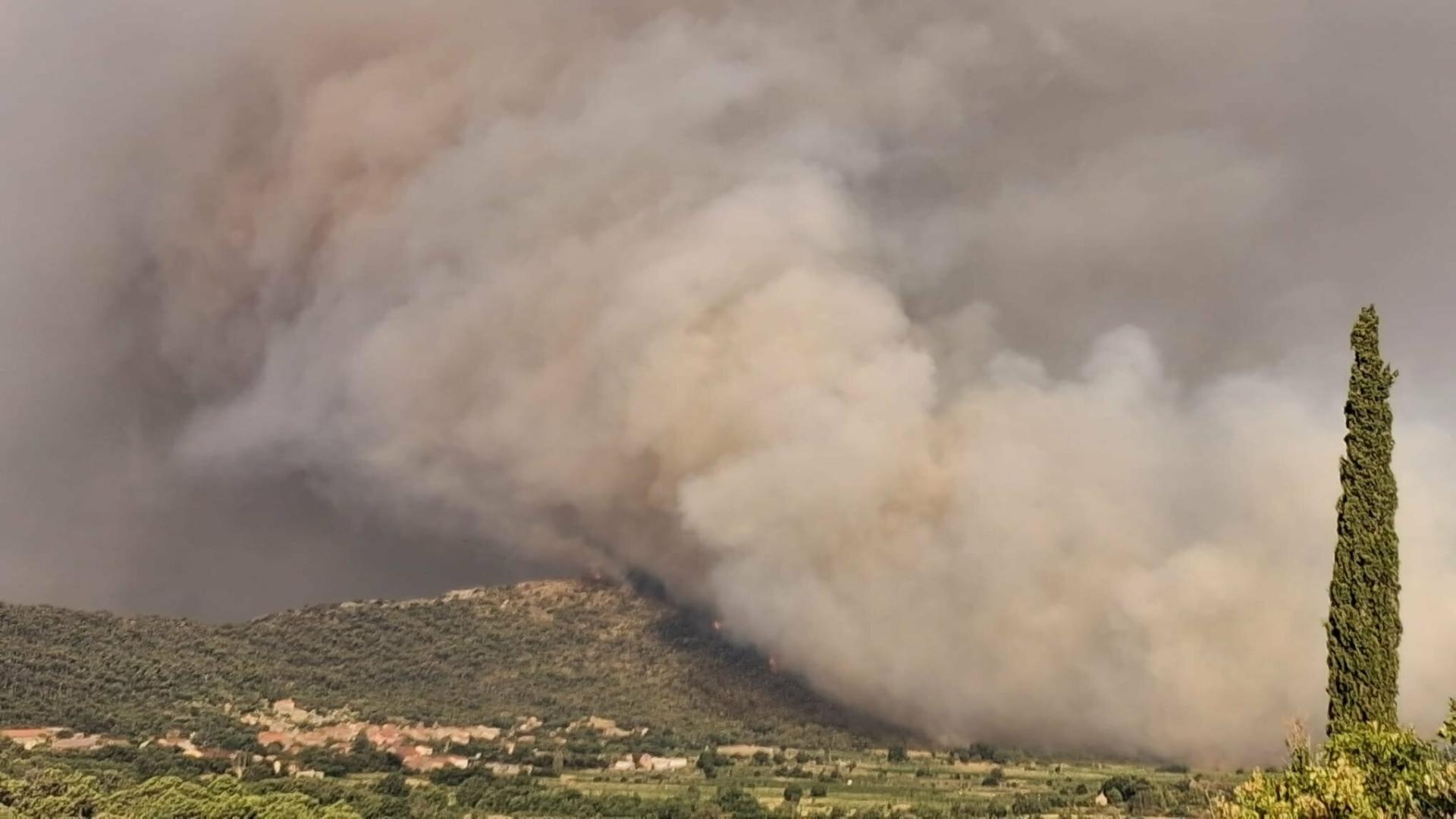 Savjetodavna služba dala je upute što i kako u vinogradima i maslinicima nakon požara: ispiranje i navodnavanje je ključno