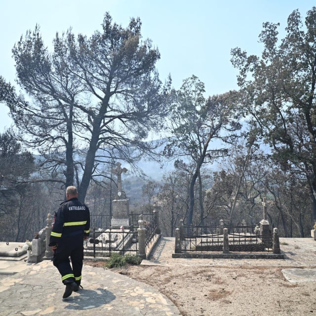 <p>Ukupno opožarena povr&scaron;ina na Pelje&scaron;cu obuhvaća 289 hektara, kažu iz Hrvatskih &scaron;uma</p>