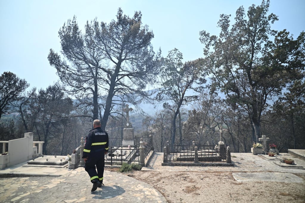 <p>Ukupno opožarena povr&scaron;ina na Pelje&scaron;cu obuhvaća 289 hektara, kažu iz Hrvatskih &scaron;uma</p>
