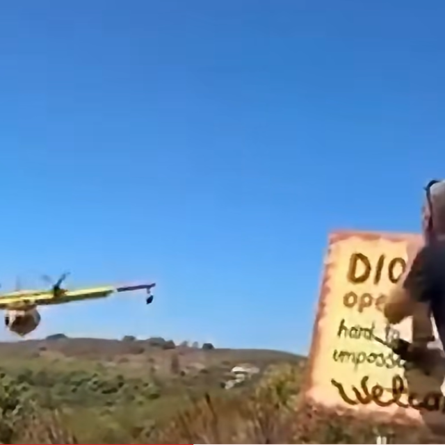 32358461
