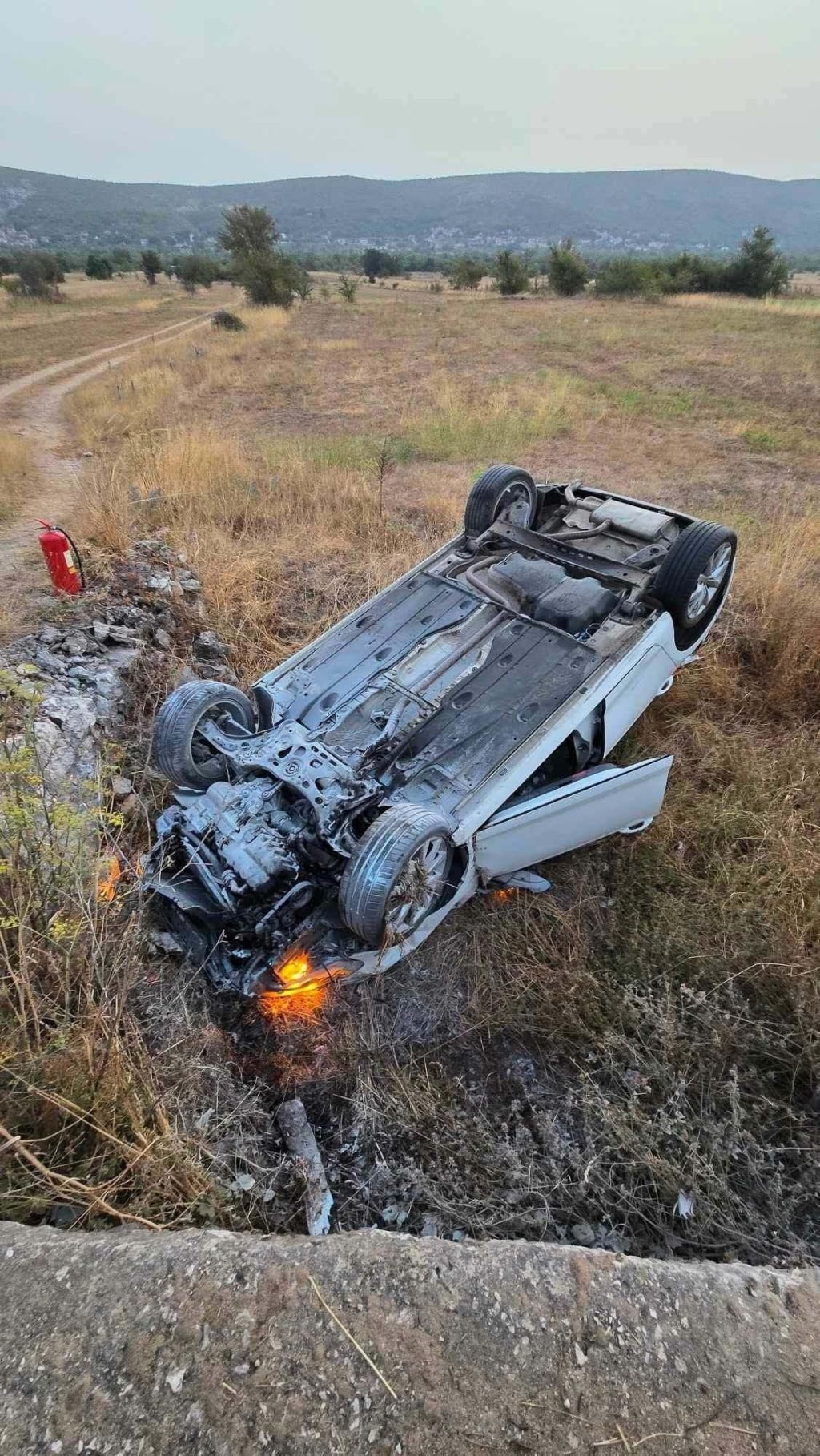 32379295