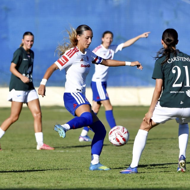 <p>Ana Bakalar</p>