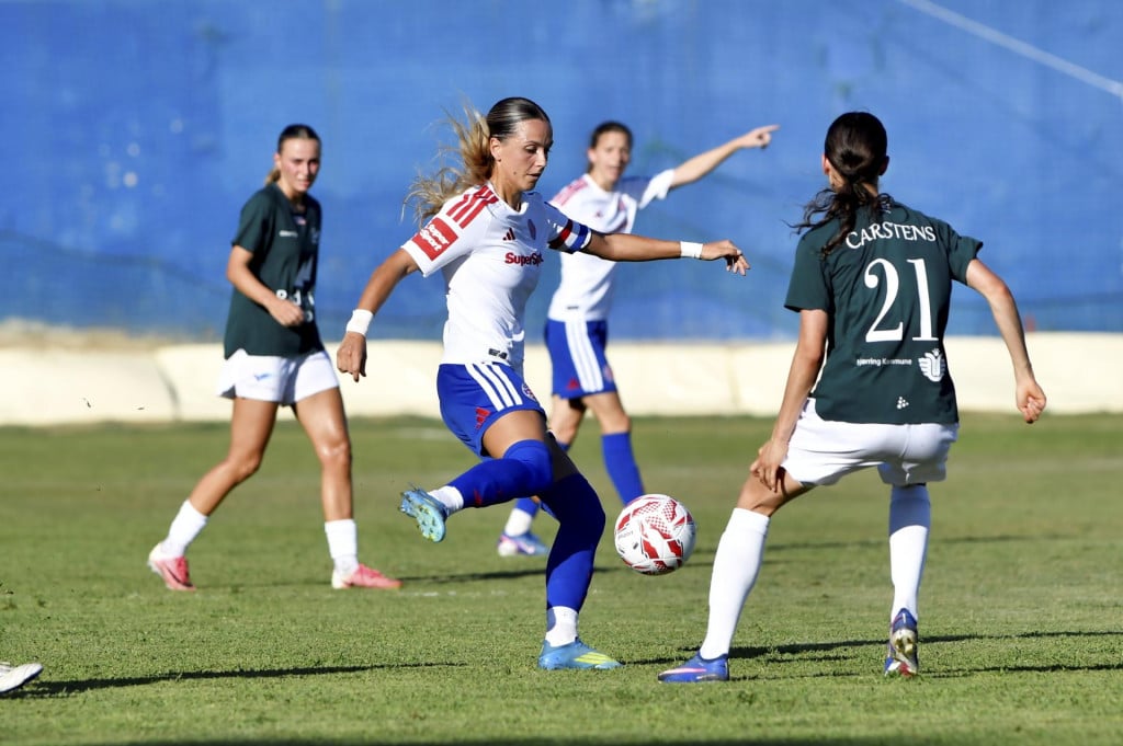 <p>Ana Bakalar</p>