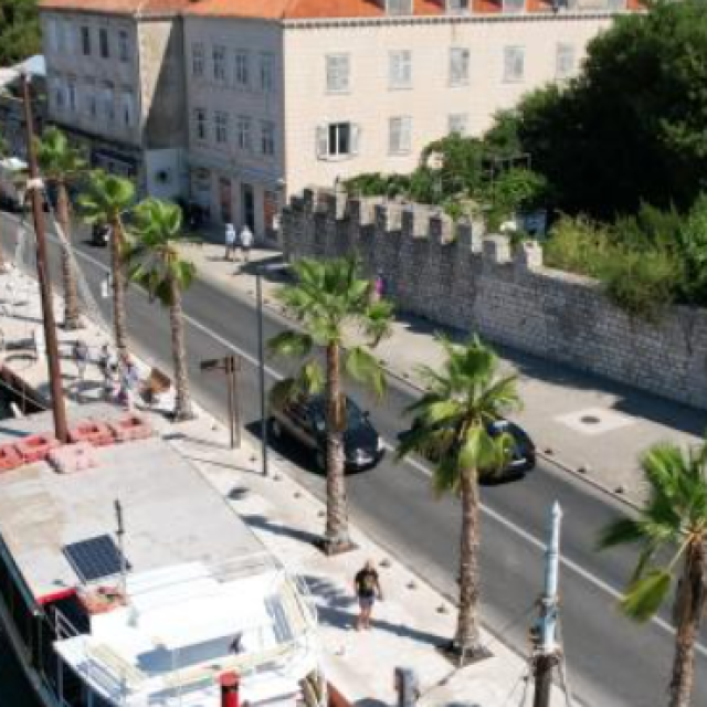 <p>Palme na gru&scaron;koj rivi</p>