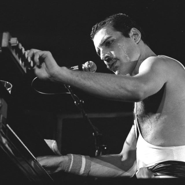 <p>Freddie Mercury</p>