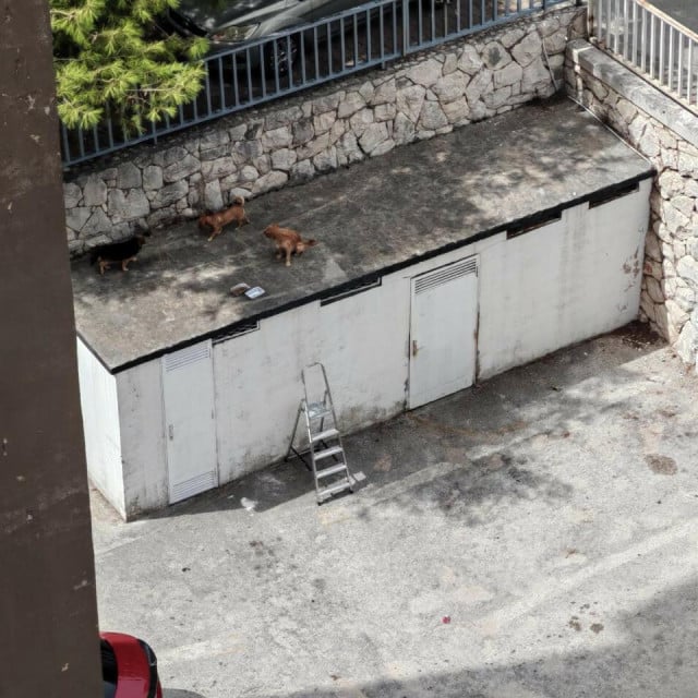 <p>Ostavljeni psi na vrućini na kućici restorana Opatija</p>