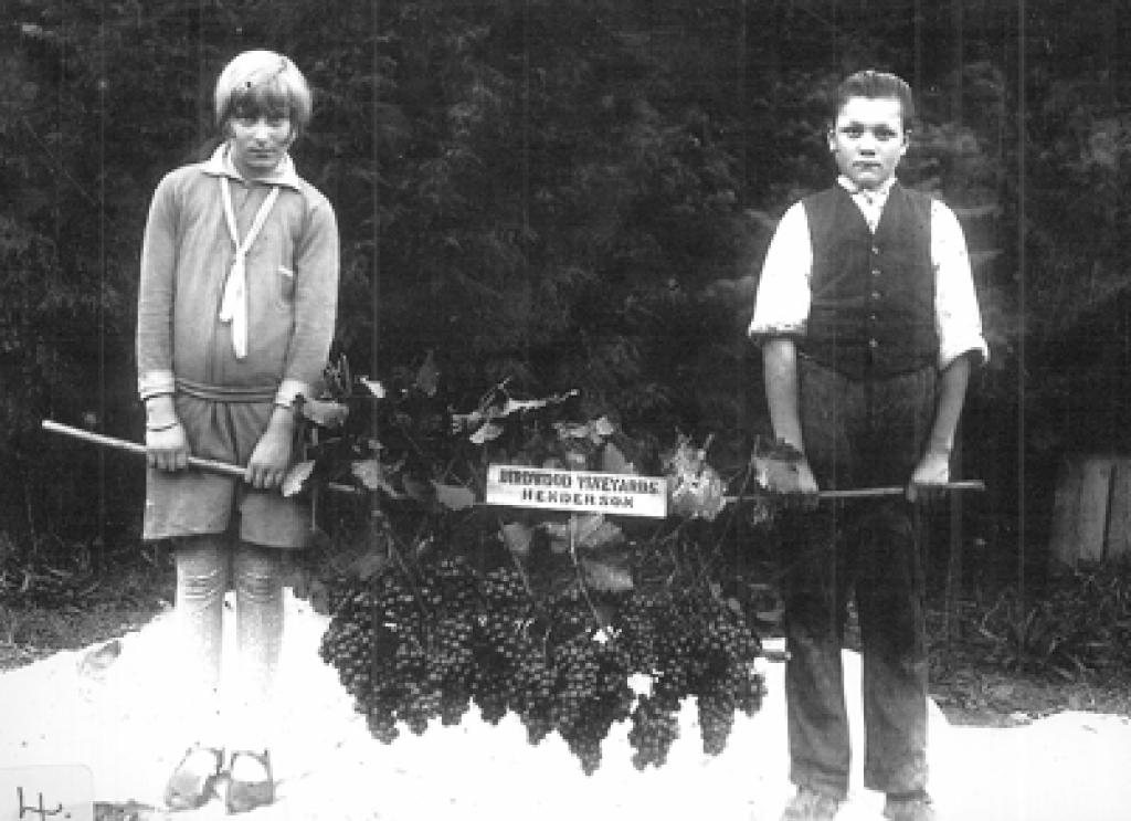 <p>Berba grožđa u vinogradima Birdwood u Hendersonu 1917. godine. Edna Pike i Tony Rastovich s odabranim grozdovima</p>