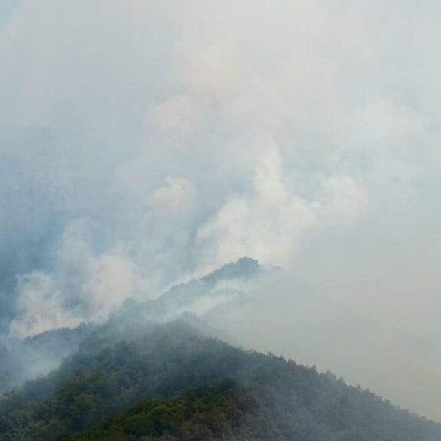 <p>Vatrogasci, ali i dobrovoljci svim silama poku&scaron;avaju spriječiti da se požar, koji hara planinom Ljubu&scaron;om, prebaci na Vran i ugrozi mnoge stambene objekte&nbsp;(ilustracija)&nbsp;</p>