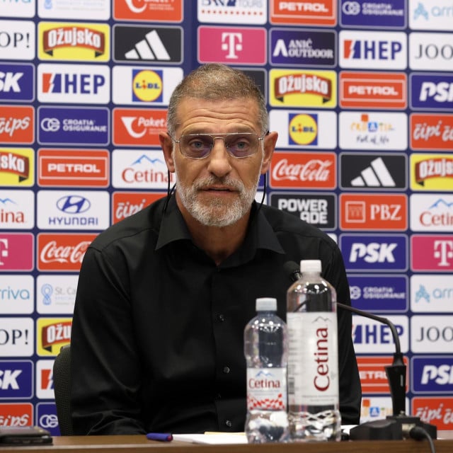 <p>Slaven Bilić</p>