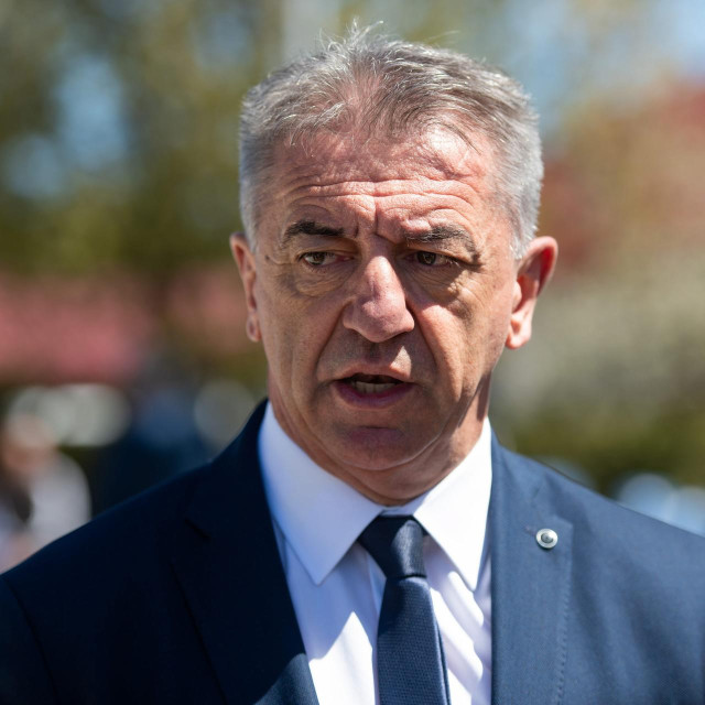 <p>Darko Milinović</p>