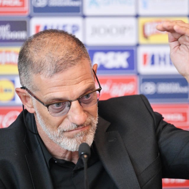 <p>Slaven Bilić</p>