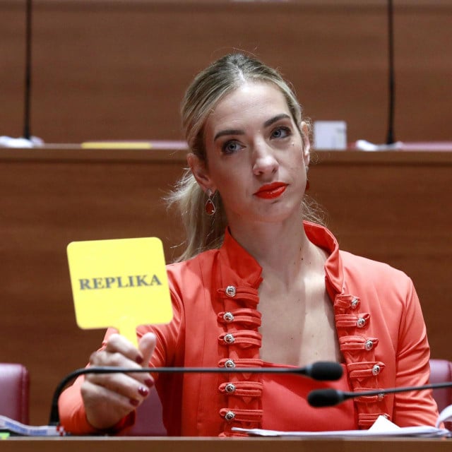 <p>SDP-ovka Sanja Radolović replicirala je vijećnici&nbsp;Ireni Peru&scaron;ko&nbsp;da provodi incest promovirajući svog sina u Savjetu mladih, nakon čega je situacija eskalirala&nbsp;&nbsp;</p>