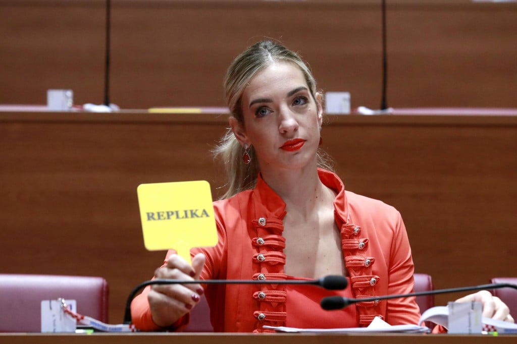 <p>SDP-ovka Sanja Radolović replicirala je vijećnici&nbsp;Ireni Peru&scaron;ko&nbsp;da provodi incest promovirajući svog sina u Savjetu mladih, nakon čega je situacija eskalirala&nbsp;&nbsp;</p>