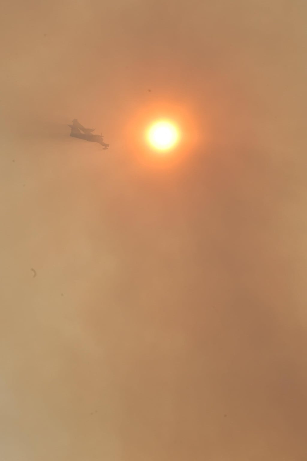 32466017
