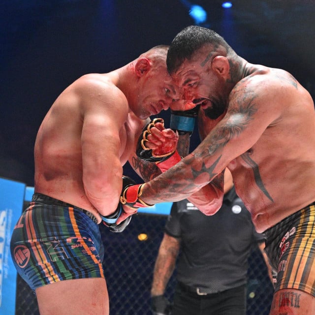 <p>Darko Sto&scaron;ić, Hatef Moeil</p>