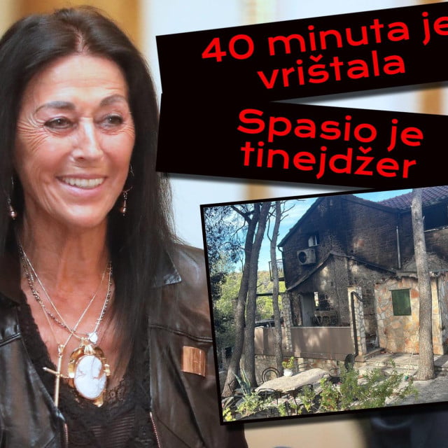 <p>Dragica Leme&scaron;ić</p>