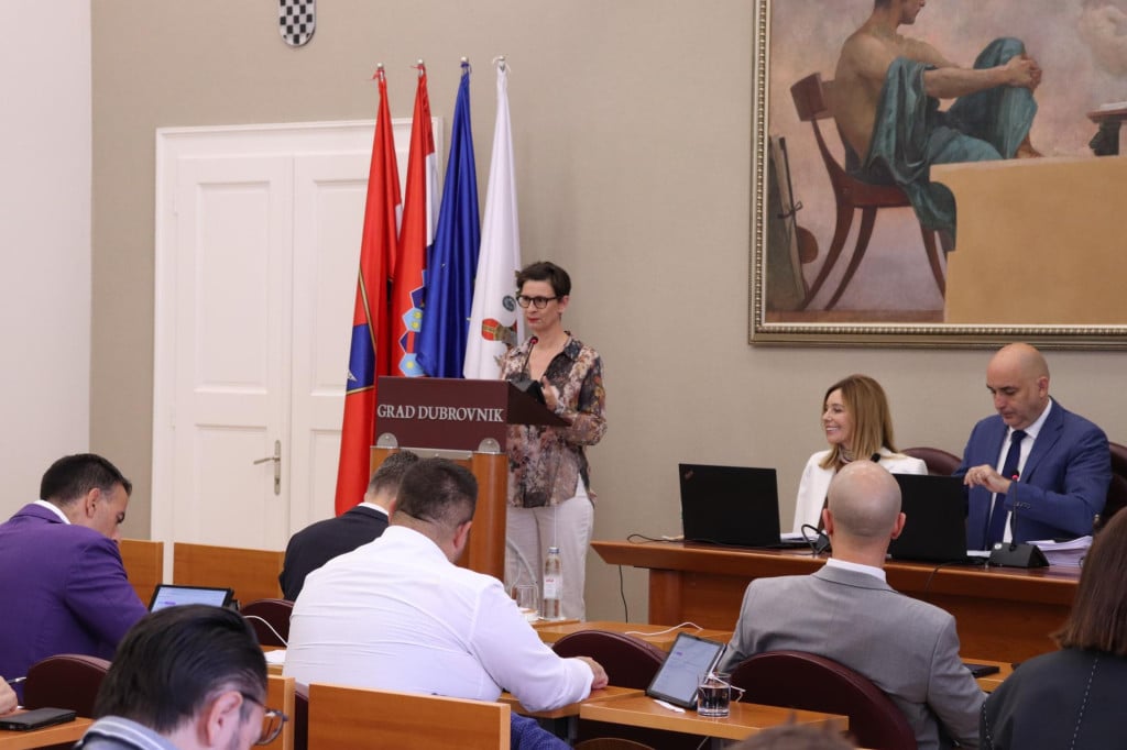<p>gradsko vijeće dubrovnik</p>