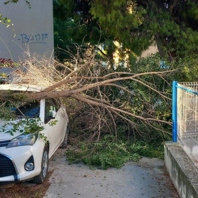 <p>Scena s Plokita</p>