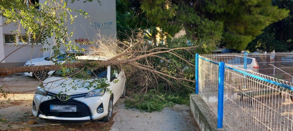 <p>Scena s Plokita</p>