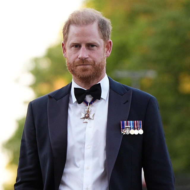 <p>Princ Harry</p>