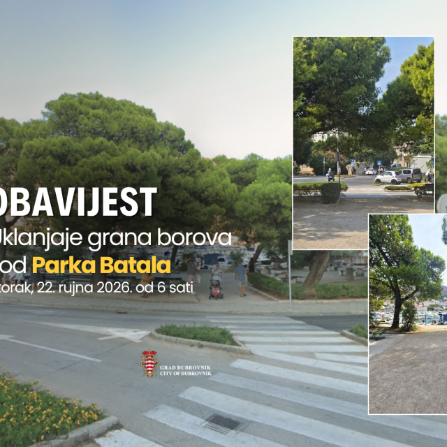 <p>Uklanjanje grana borova kod Parka Batala</p>