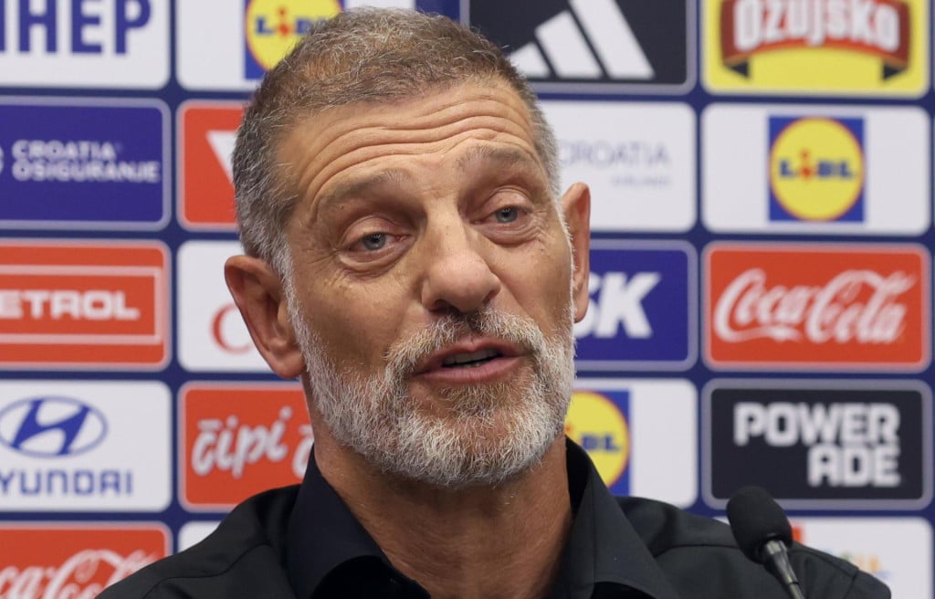 <p>Slaven Bilić</p>