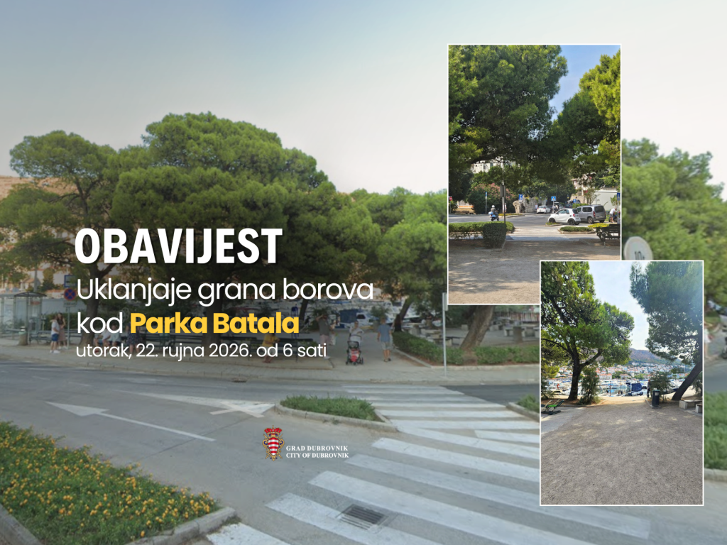 <p>Uklanjanje grana borova kod Parka Batala</p>