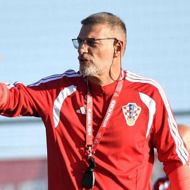 <p>Slaven Bilić</p>