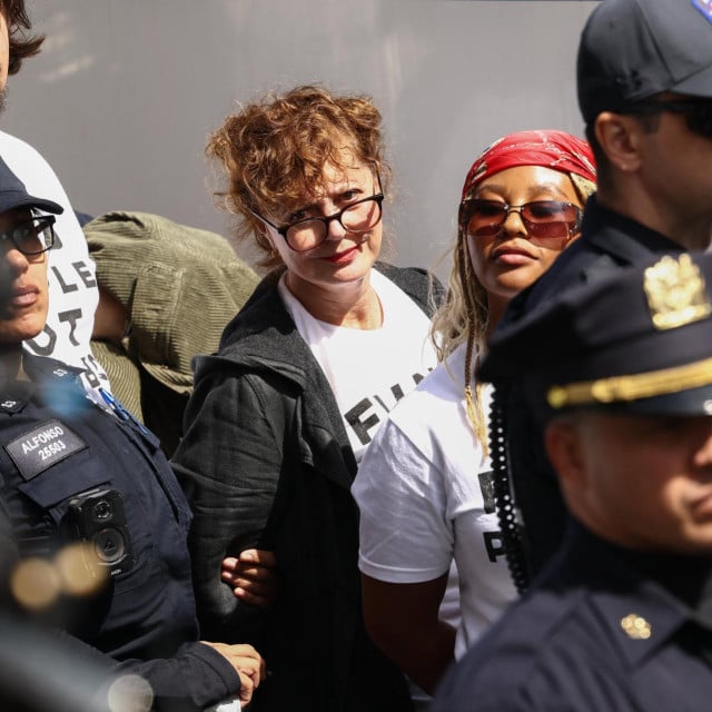 <p>Susan Sarandon</p>