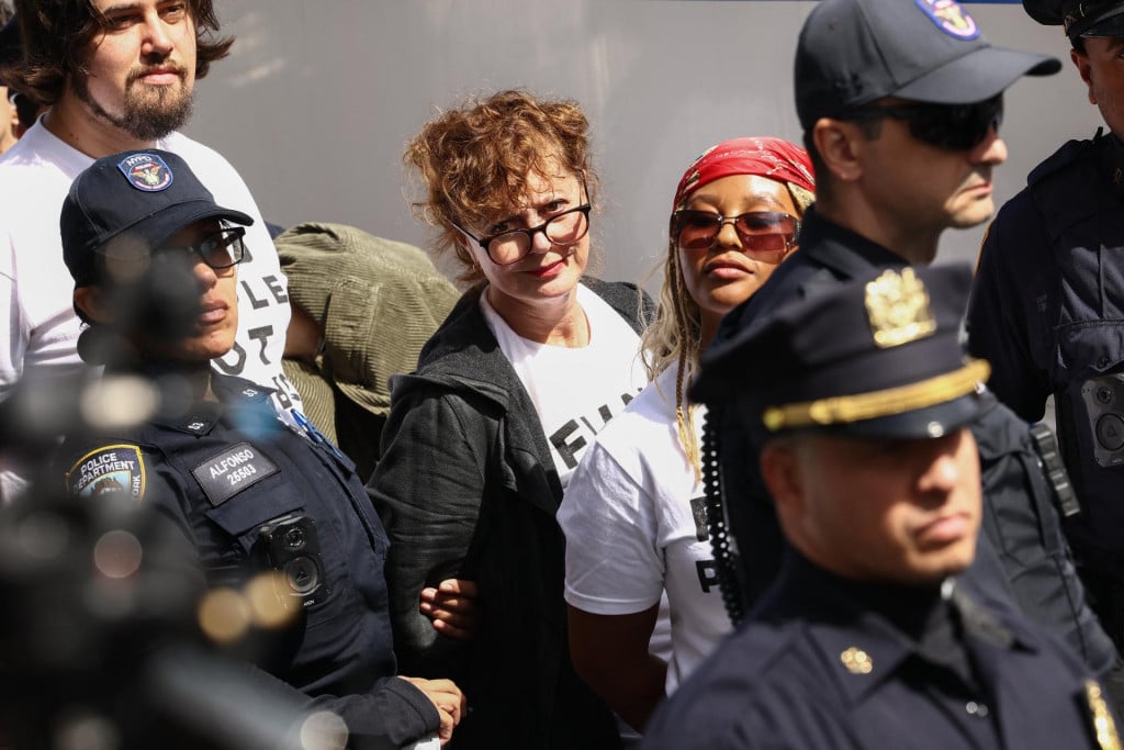 <p>Susan Sarandon</p>