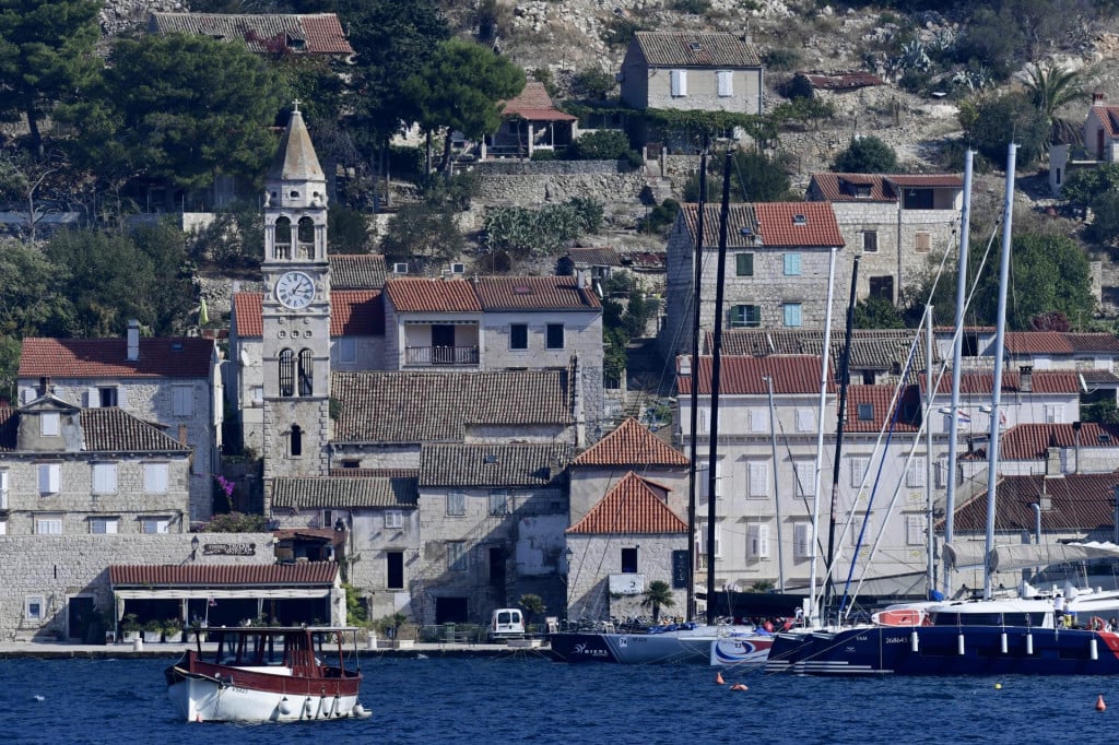 <p>Vis</p>