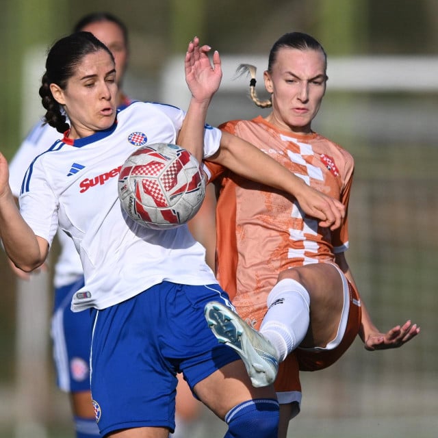<p>Na fotografiji: Ilustracija ŽNK Hajduk&nbsp;</p>