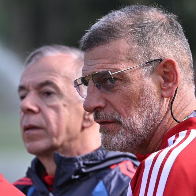 <p>Slaven Bilić</p>