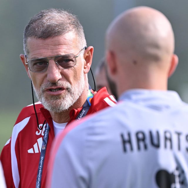 <p>Slaven Bilic</p>