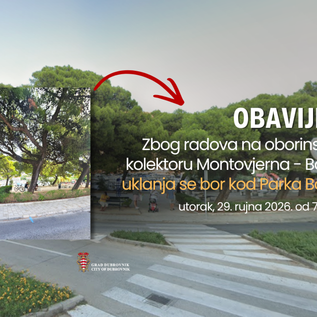 <p>Zbog izgradnje oborinskog kolektora Montovjerna &ndash; Batala uklanja se bor na ulazu u Park Batala</p>