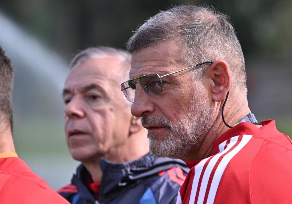 <p>Slaven Bilić</p>