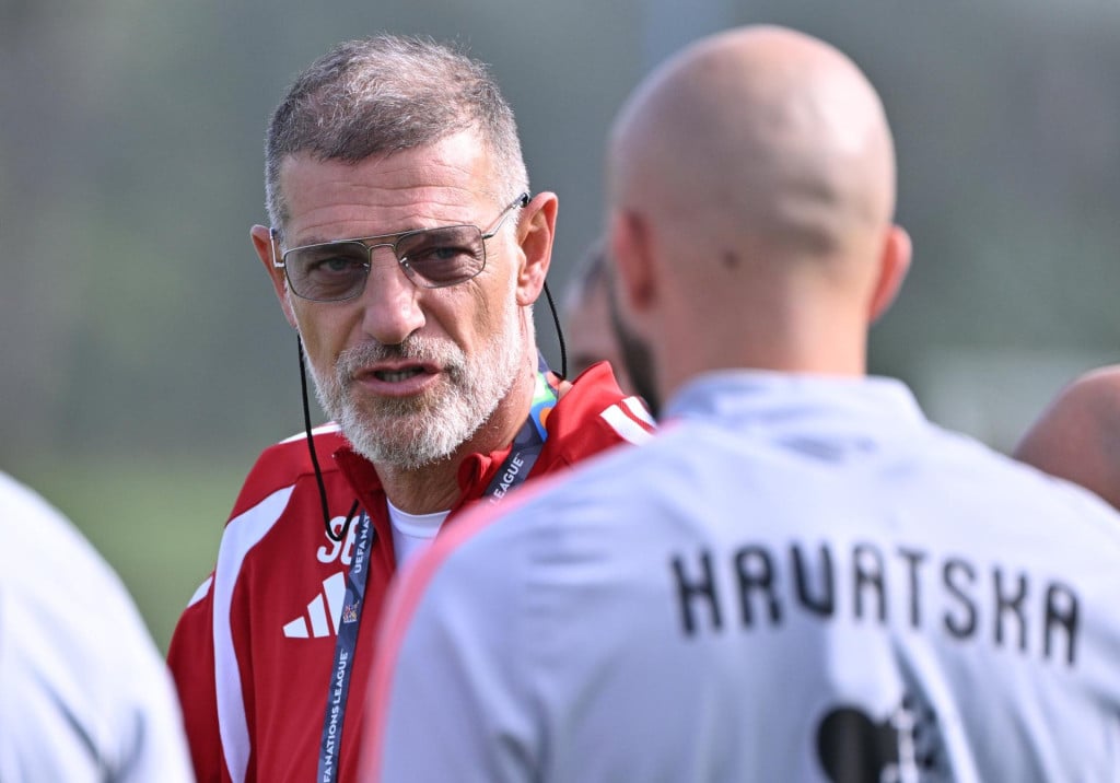<p>Slaven Bilic</p>
