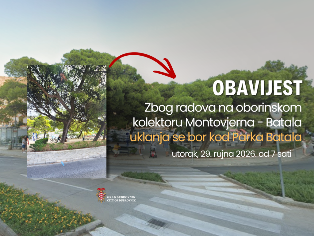 <p>Zbog izgradnje oborinskog kolektora Montovjerna &ndash; Batala uklanja se bor na ulazu u Park Batala</p>