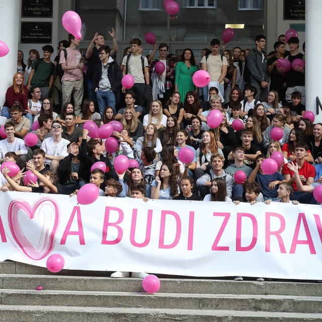<p>Učenici X. gimnazije&nbsp;Ivan Supek u Zagrbeu na predstavljanju projekta</p>