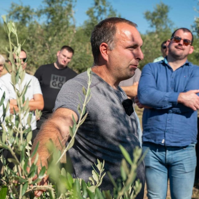 <p>Prezentacija znanstvenog istraživanja Olive-Tech, održanom u masliniku obitelji&nbsp; Lepur u Lepurima kod Benkovca</p>