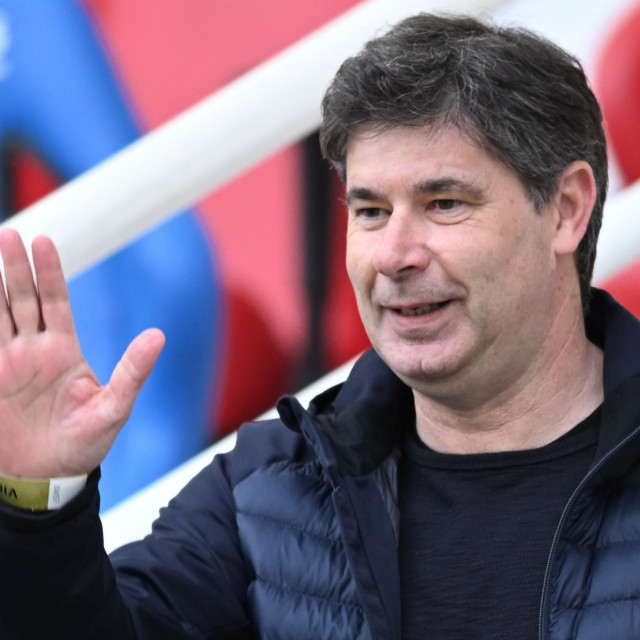 <p>Goran Vučević</p>