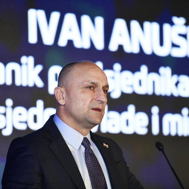 <p>Ivan Anu&scaron;ić</p>