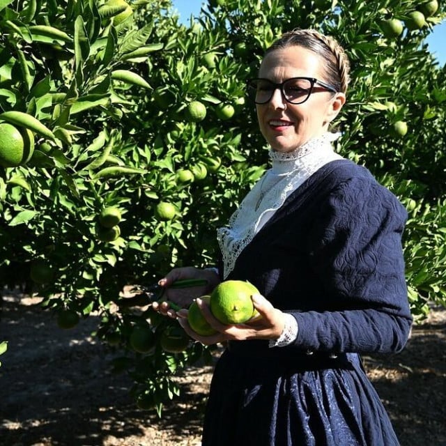 <p>Berba mandarina tek treba krenuti, a hrvatska je sorta već dozrela</p>