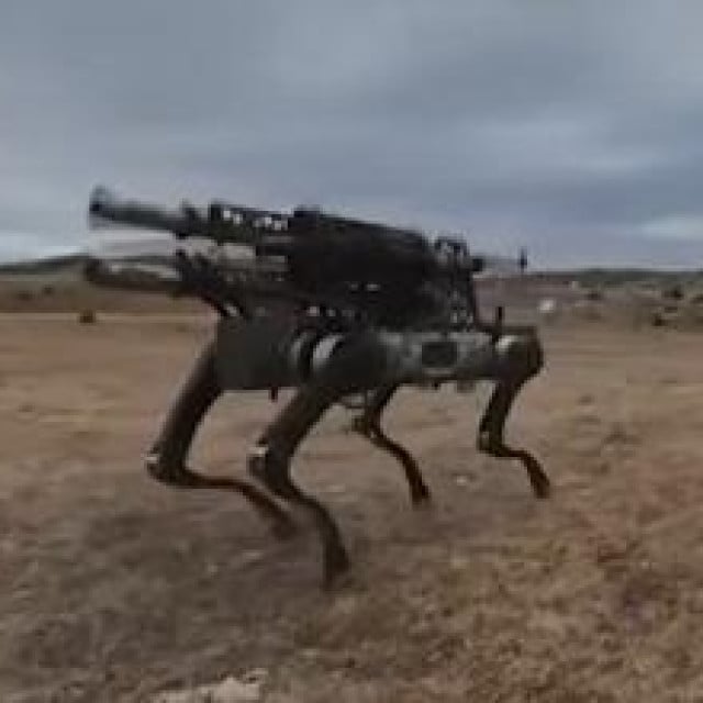 <p>Robotski pas</p>