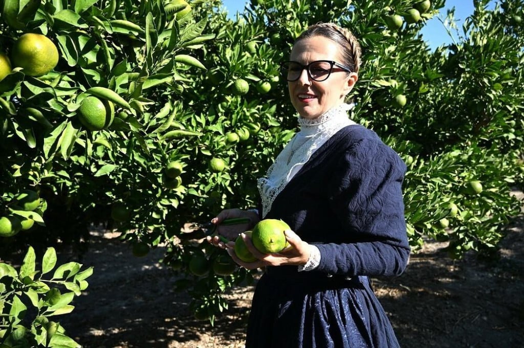 <p>Berba mandarina tek treba krenuti, a hrvatska je sorta već dozrela</p>