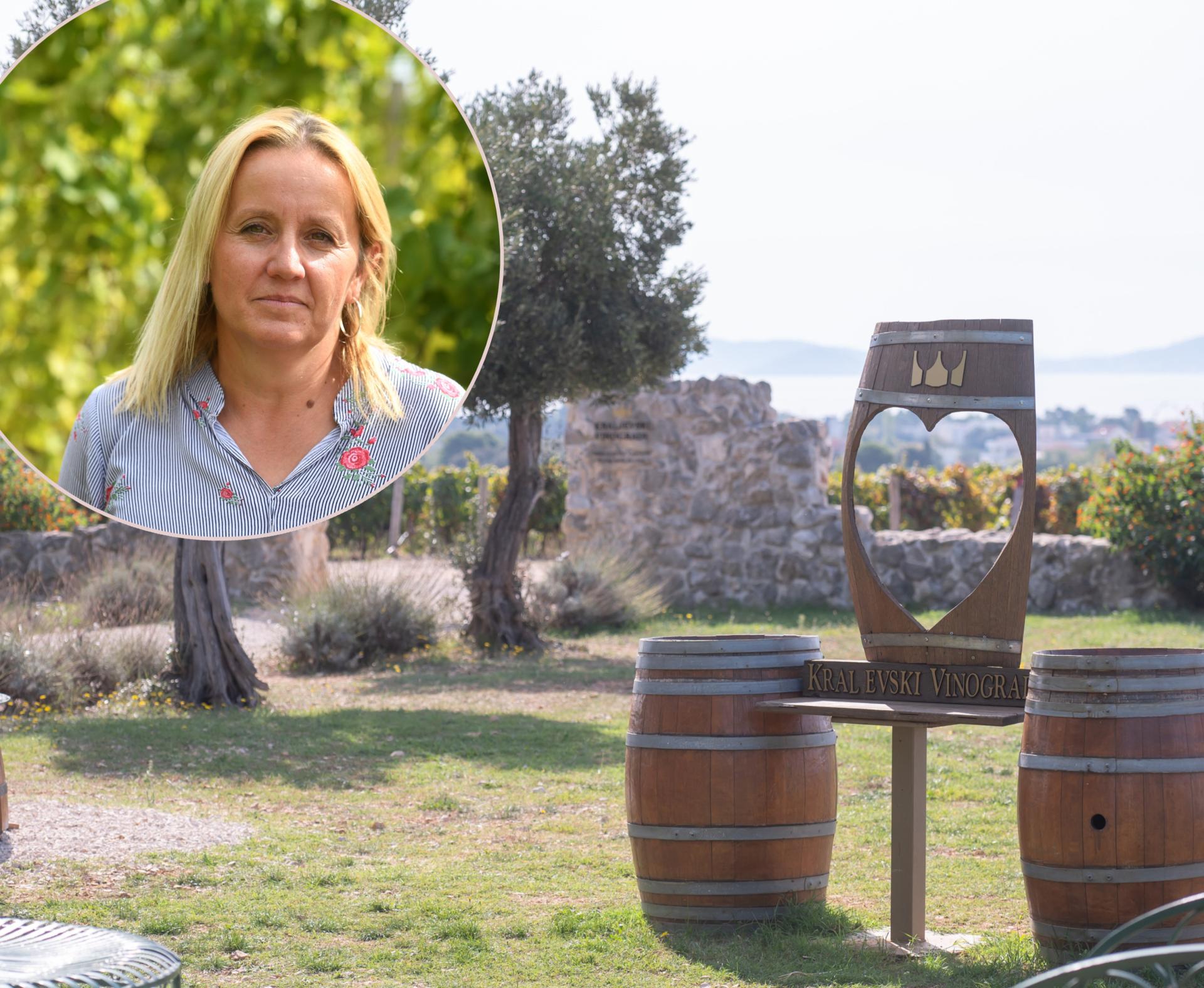Enologinja Marina Pavlović o muci koja čeka male zadarske vinare: ‘Slador ide i do 24 grada, to znači samo jedno...‘